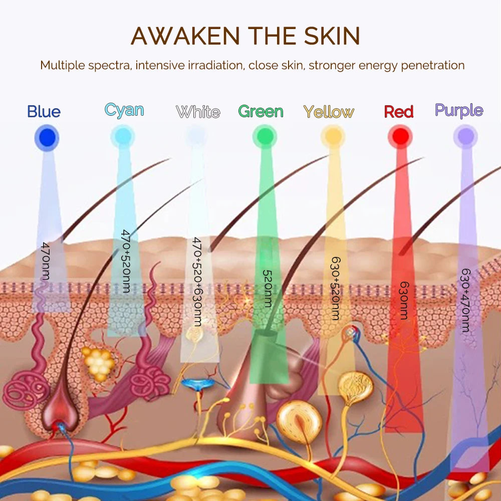 Auréa Skin